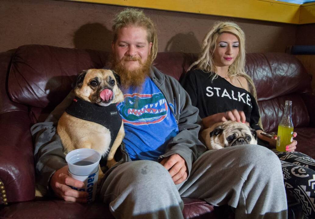A dog walks into a bar? Not in Tacoma