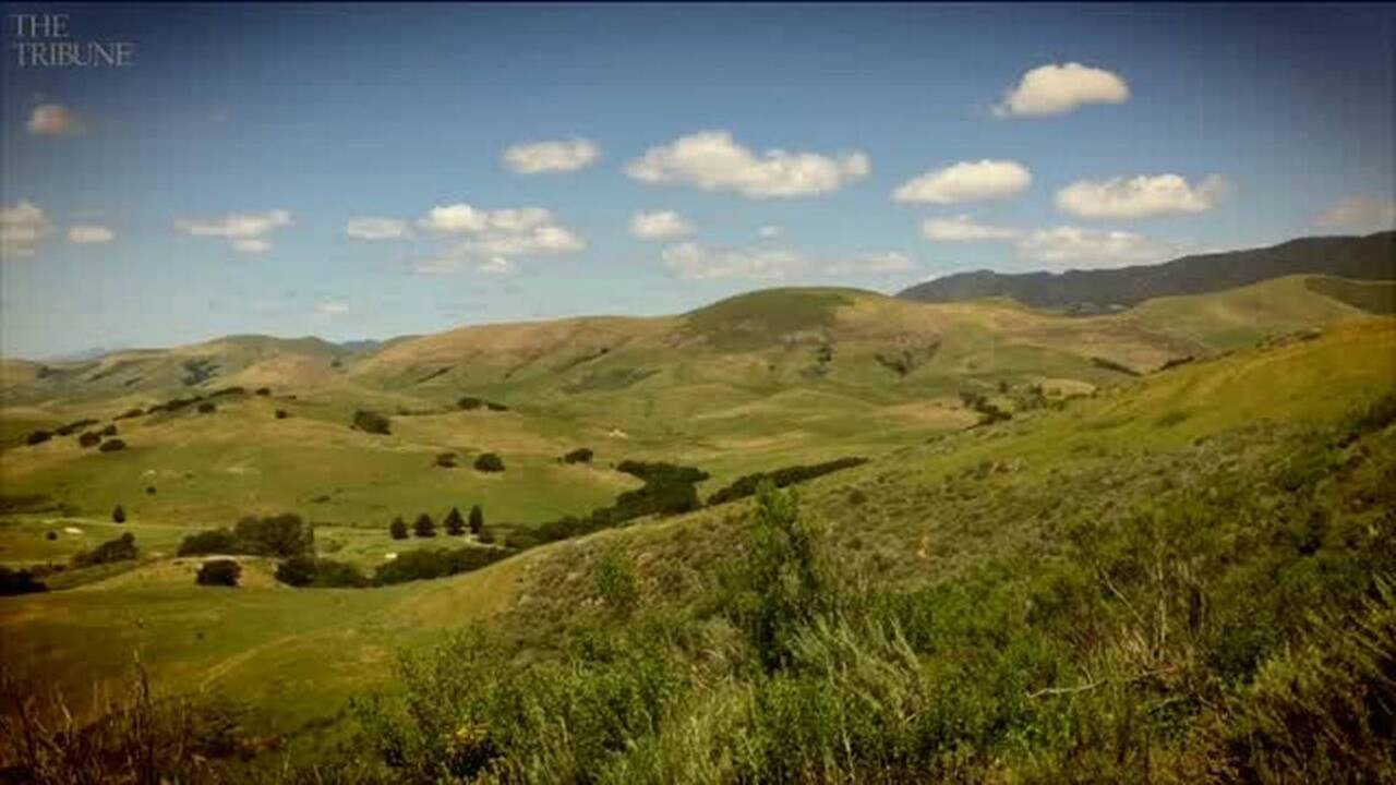 Hiking Eagle Rock Nature Trail