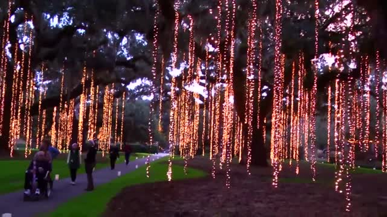 SC has 4 of the best public gardens in the US, new survey shows. Here’s why they’re worth seeing