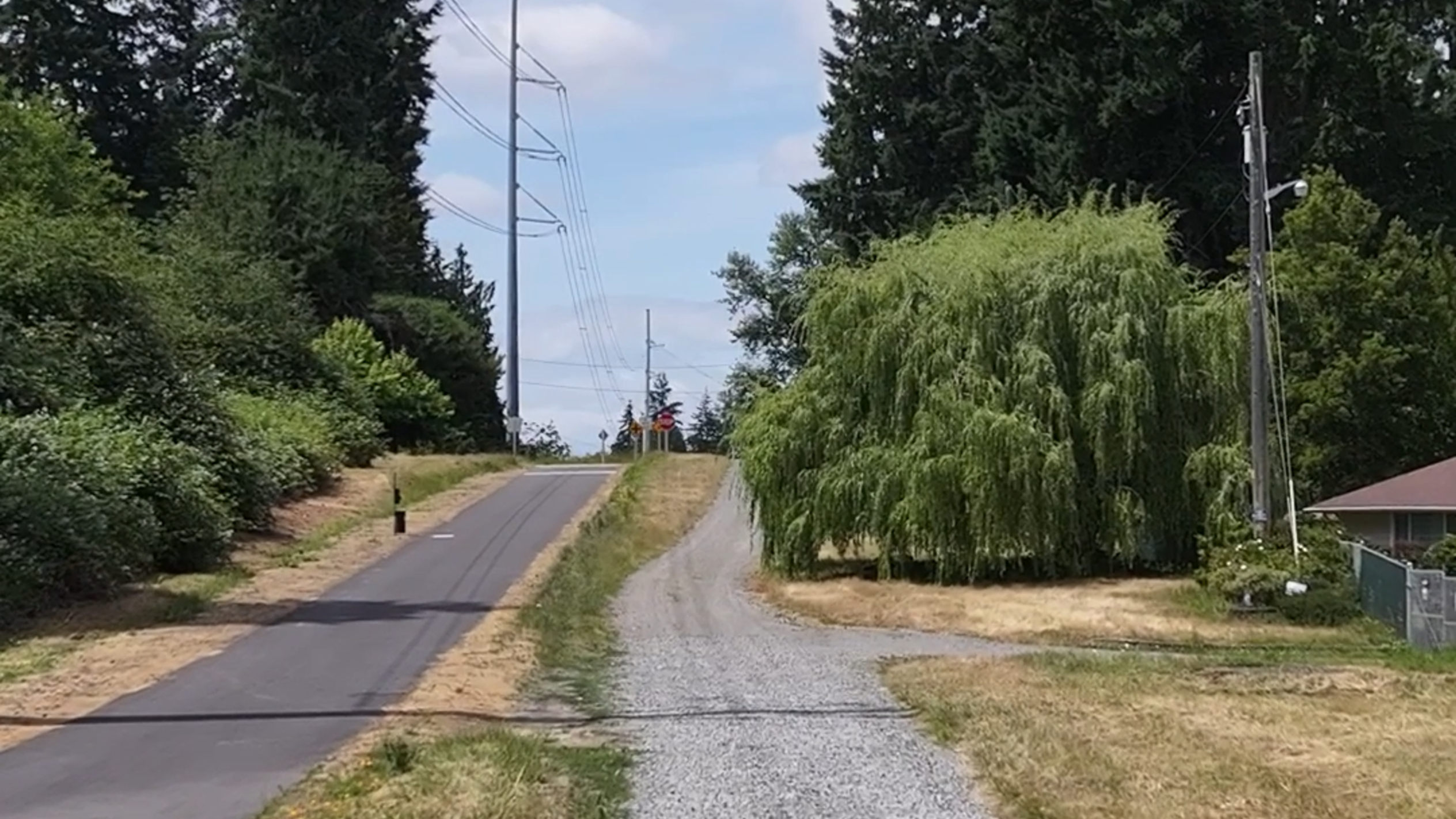 New Pierce County hiking trail opens this weekend, with free guided nature walks