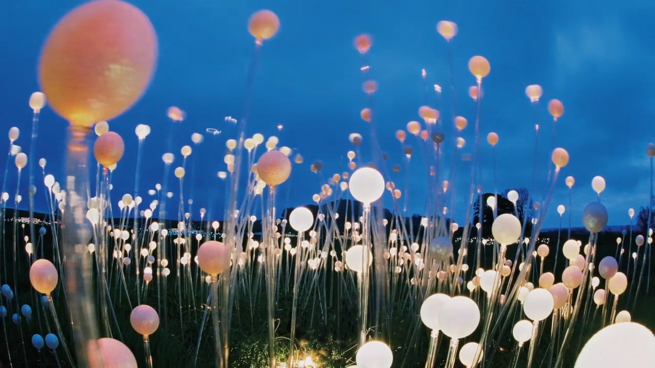 Watch the Field of Light art display that’s coming to Paso Robles