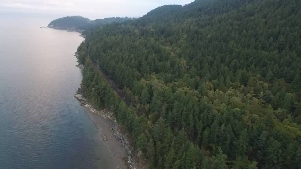 Chuckanut Drive opens doors to seaside wonders