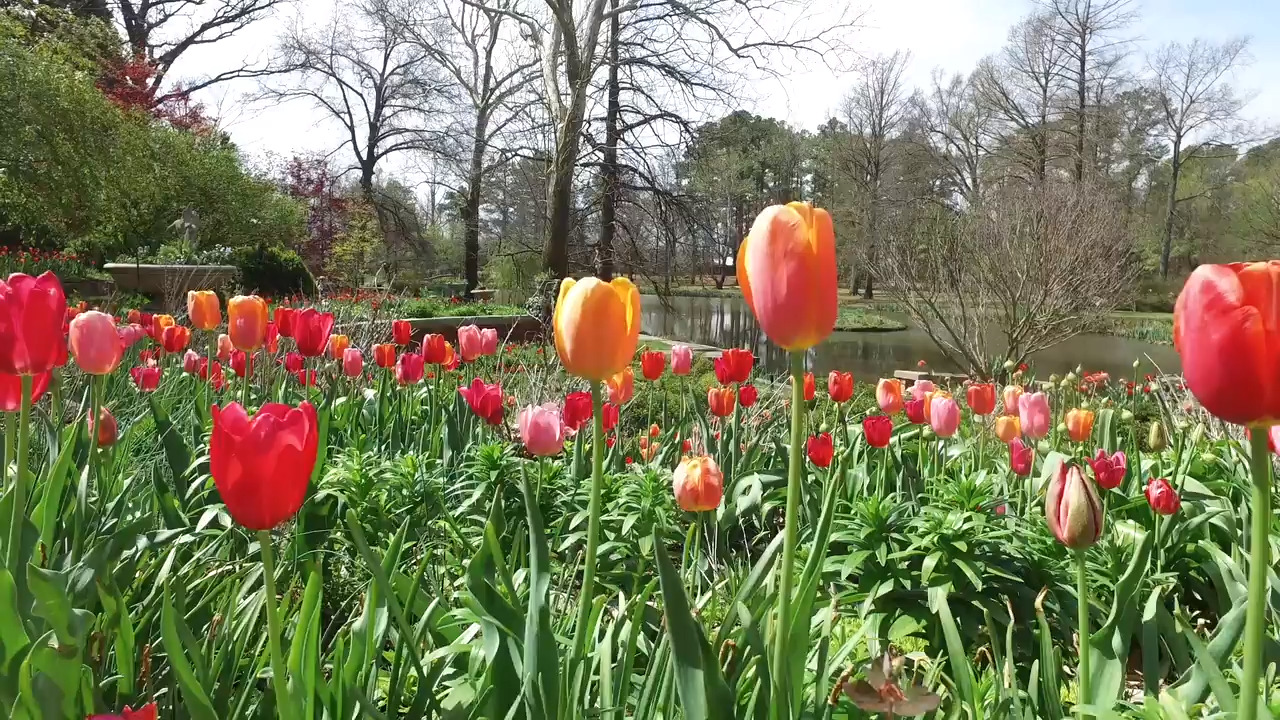 Spring colors at the Bartlett Arboretum