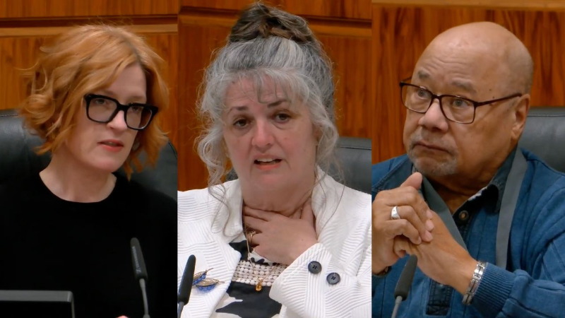 Bellingham City Council members support temporary alley closure downtown