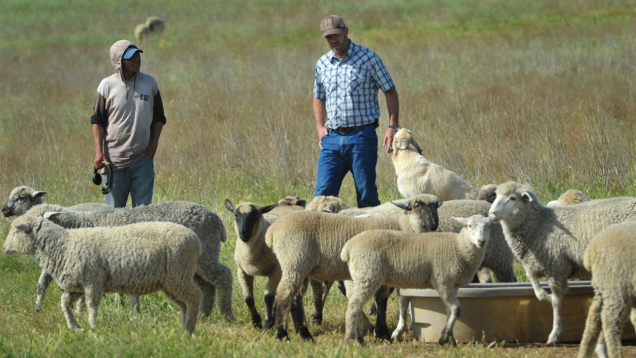 Will aid money keep farmers afloat during the pandemic?