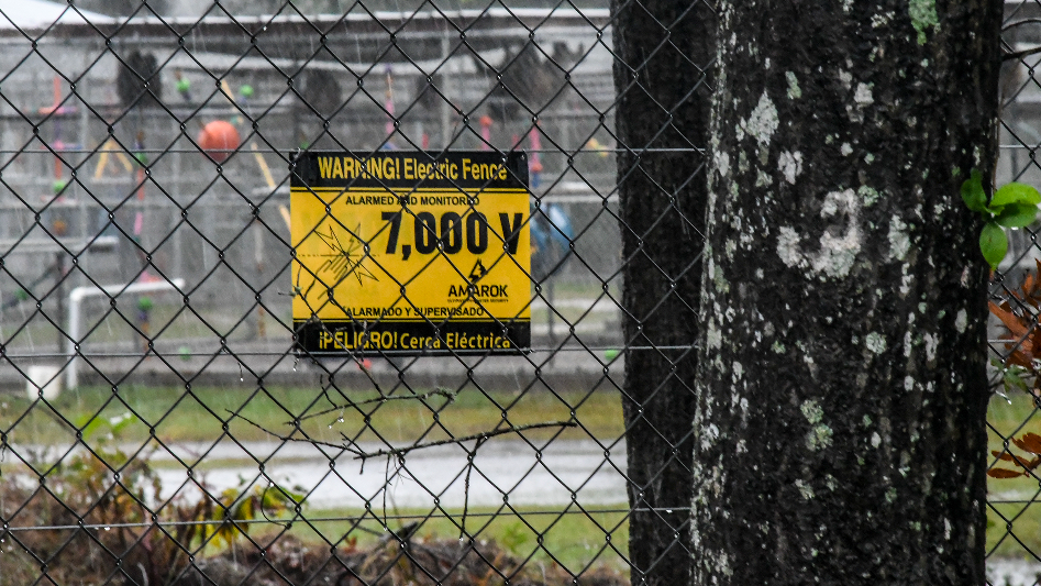 SC official speaks about new tactic to find escaped monkeys from Yemassee