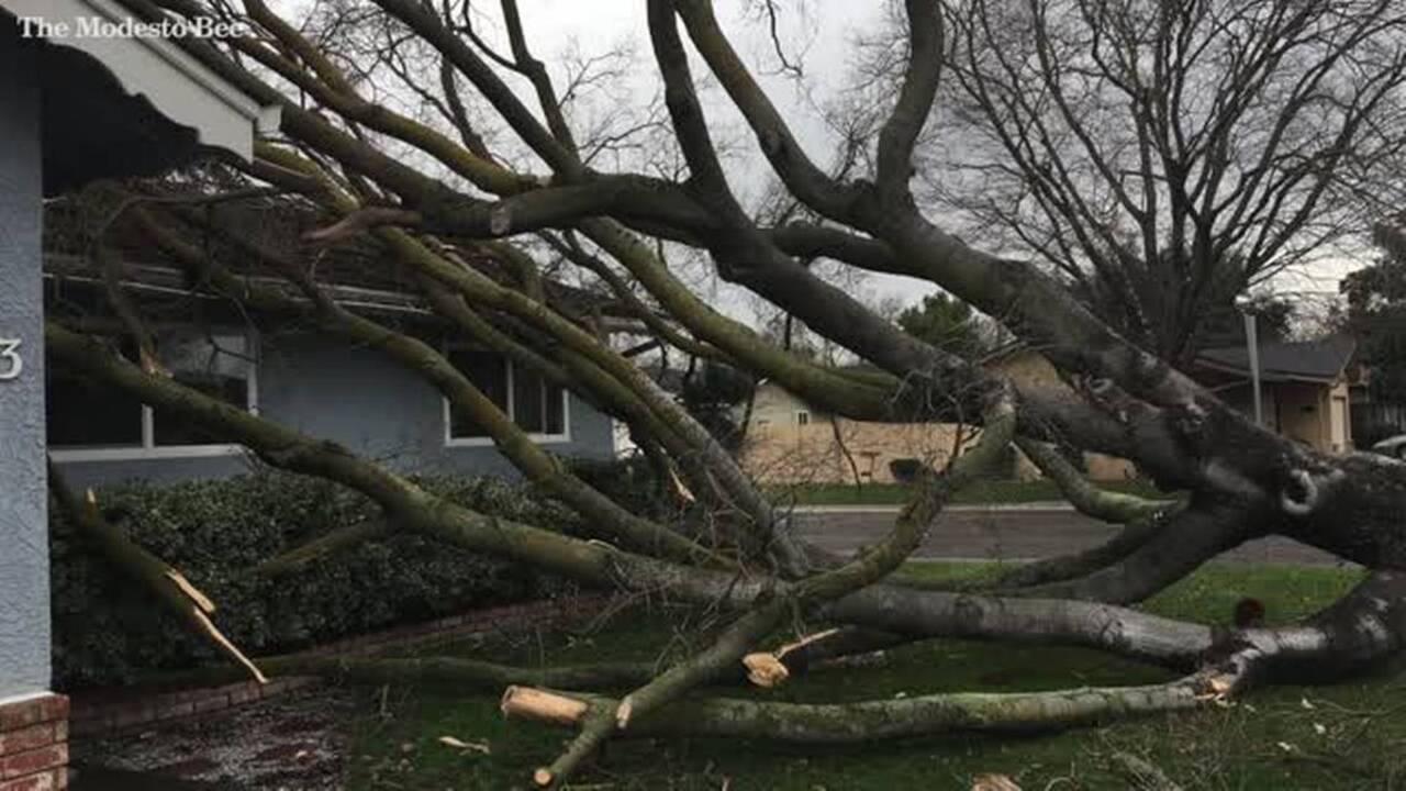 Modesto man describes moment tree fell onto house
