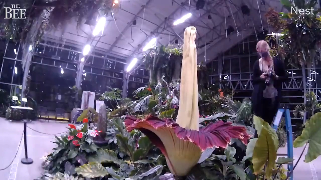 California garden named ‘most beautiful’ in the nation by HGTV. Which one?