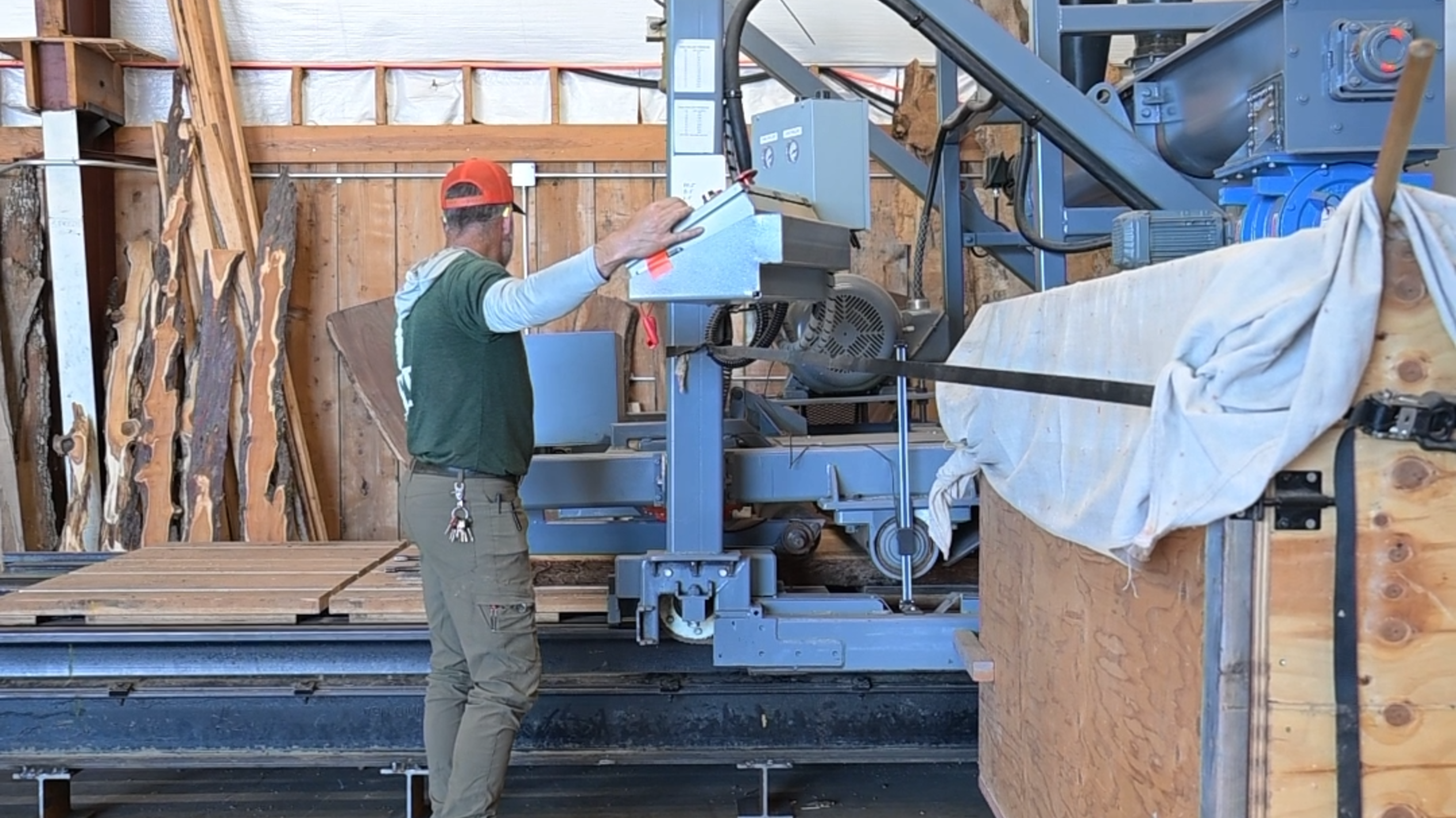 Lakewood tree service saves local tree from going to waste