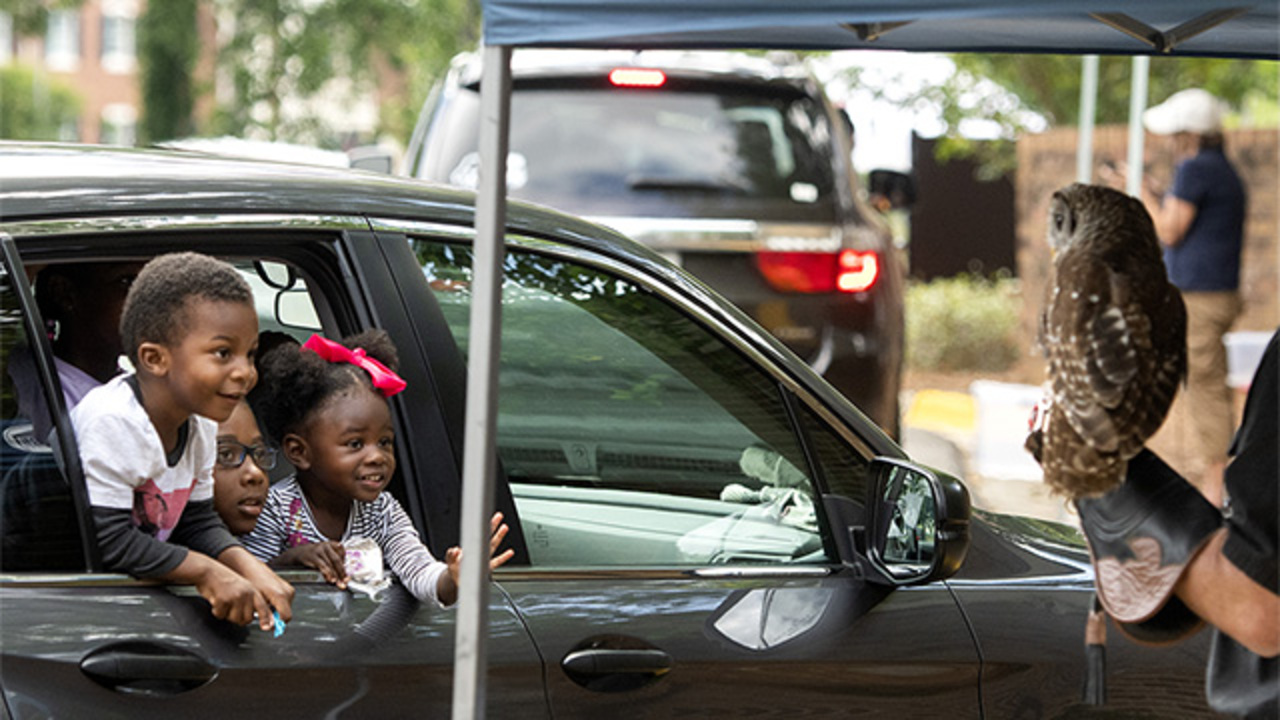 Museum moves mini-zoo outdoors for drive up experience during COVID-19 pandemic