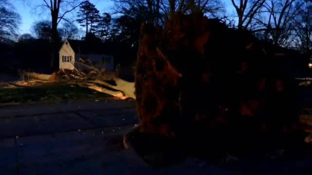 Queens Road West blocked Thursday morning by fallen trees in 1900 block