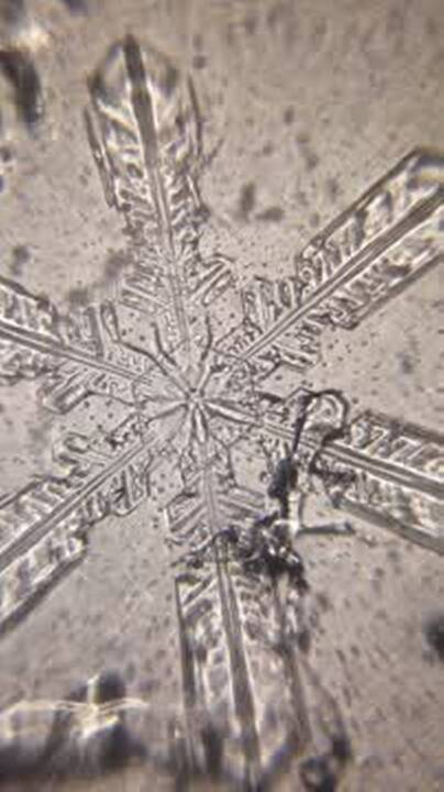 Snowflake melts under PNNL’s mini microscope