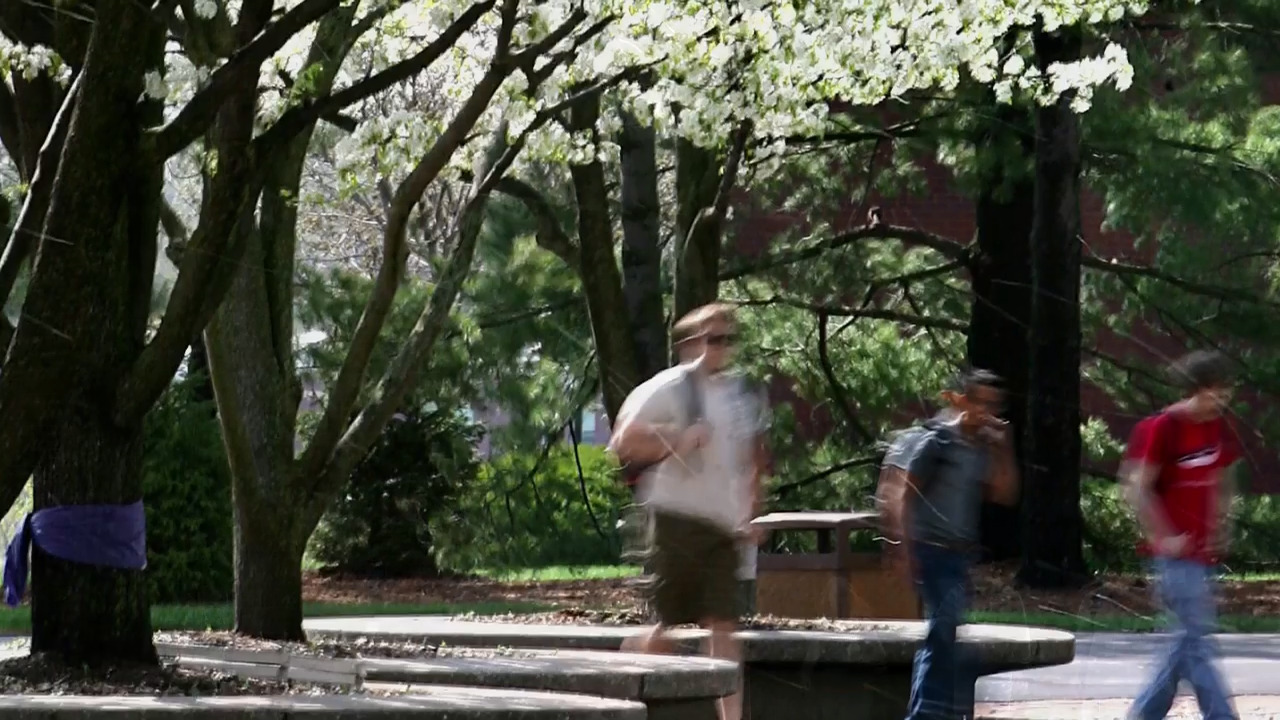 SIUC professor alleges SIU president has ‘contempt’ for Carbondale campus