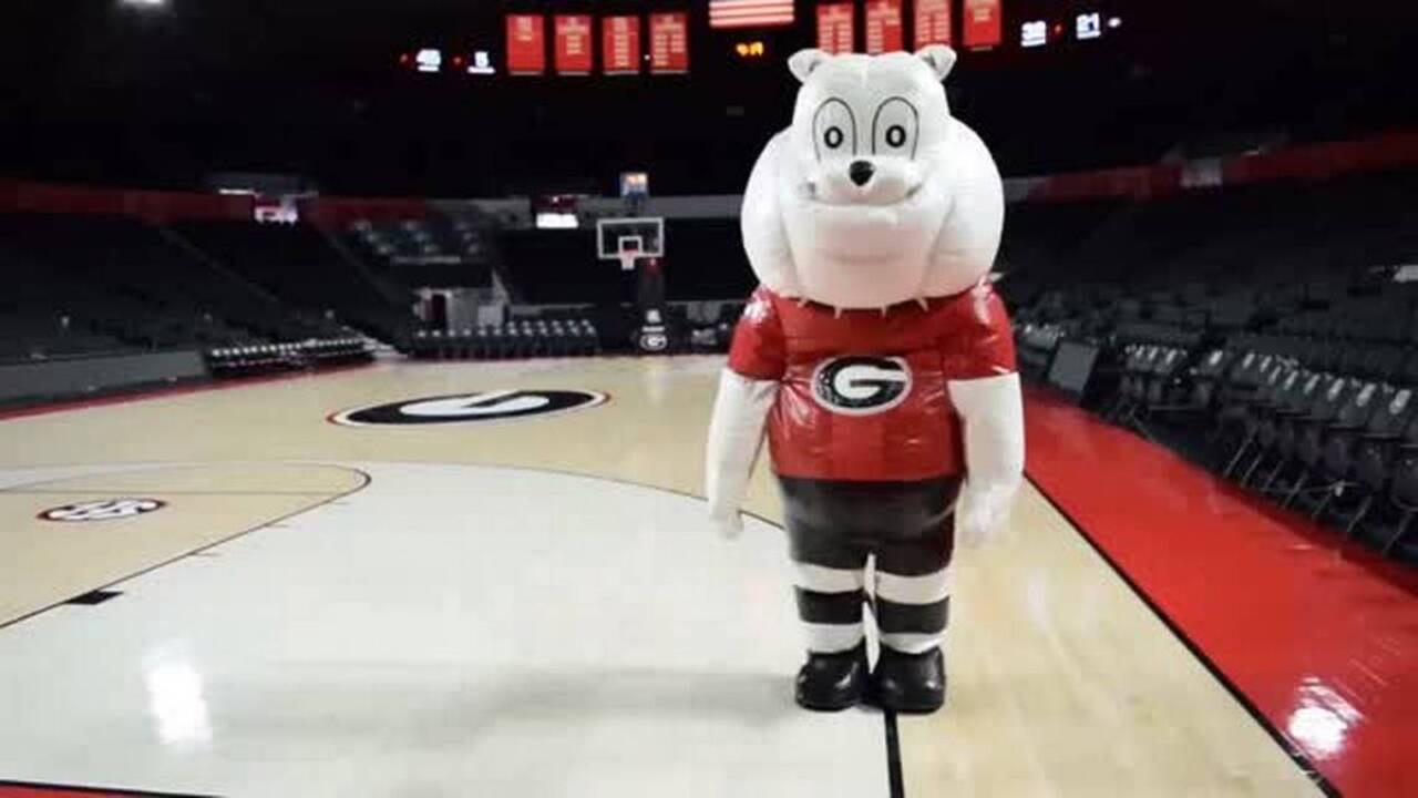 Team buy Inflatable UGA Georgia Bulldogs 8ft Mascot Inflatble