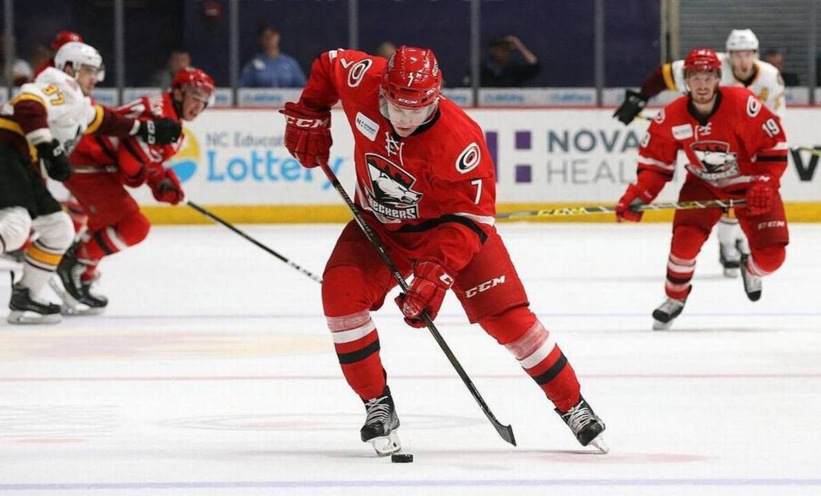 Charlotte Checkers shut fans out of Wednesday's AHL game, for their own safety