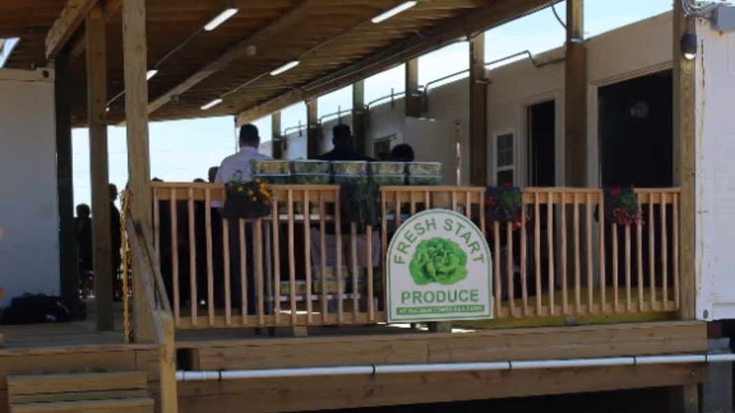 An expanding farming technique could change agriculture in SC