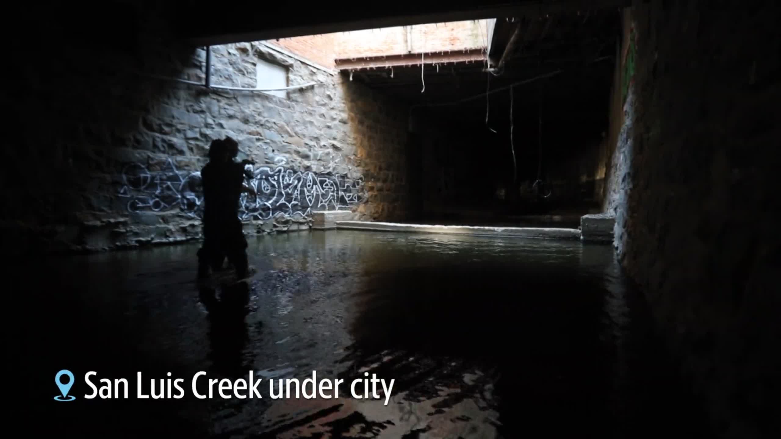 Creek health improving as pigeon barriers in tunnel installed