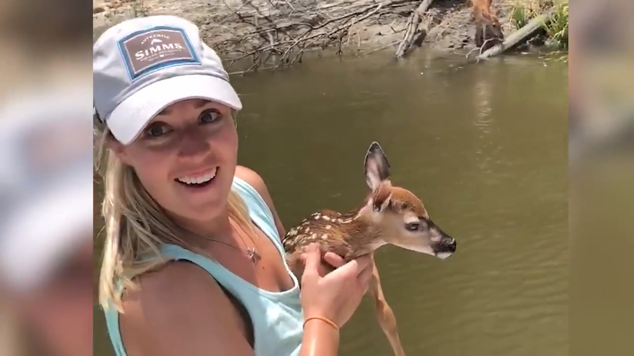 Watch as SC family plucks adorable fawn from river to return it to mom