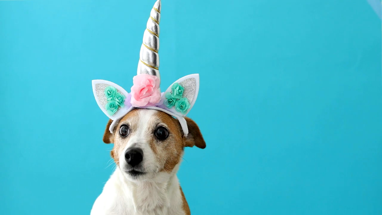 8 new, fun ways to keep kids busy while families remain at home