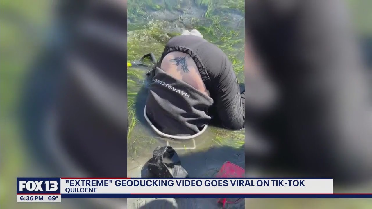 Viral video shows woman digging for geoduck in WA