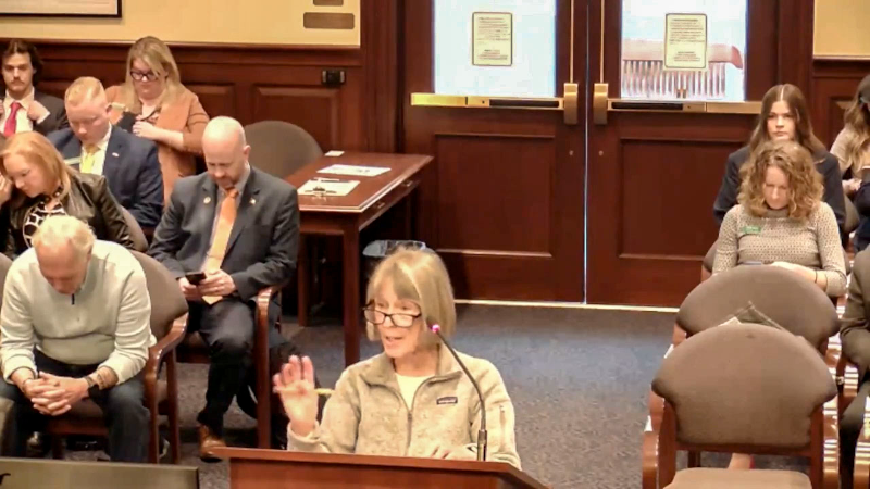 Public testimony against day care ratio bill