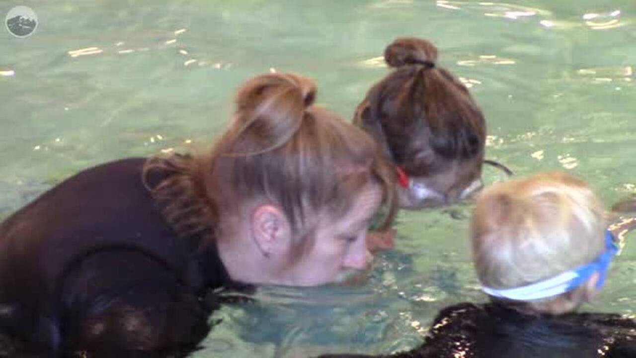 Bellingham swim instructor teaches kids to love the water