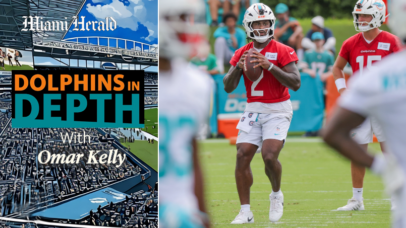 Dolphins in Depth: Dolphins players excelling and falling short of expectations