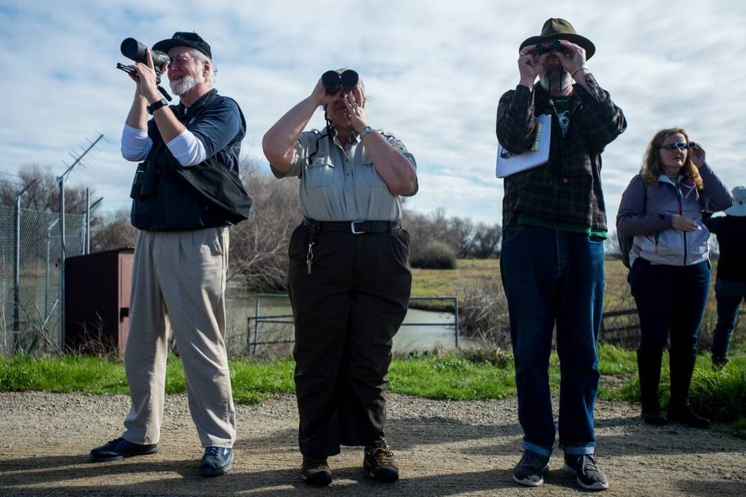 Here’s why the San Luis Wildlife Refuge near Los Banos will close for three months