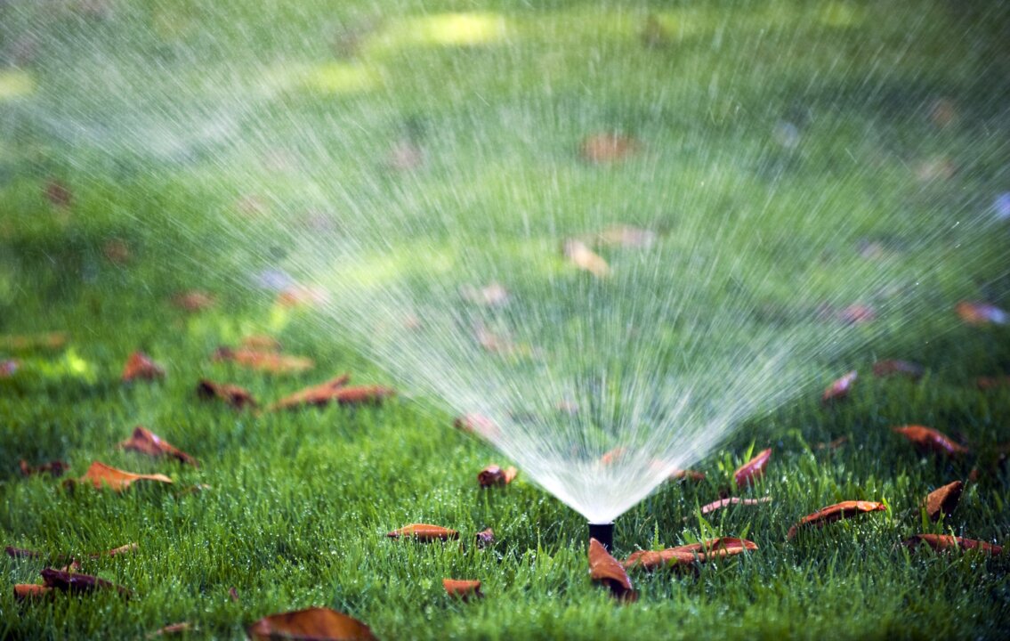 Beat the drought: How to keep that lawn green without wasting water (and other tips)