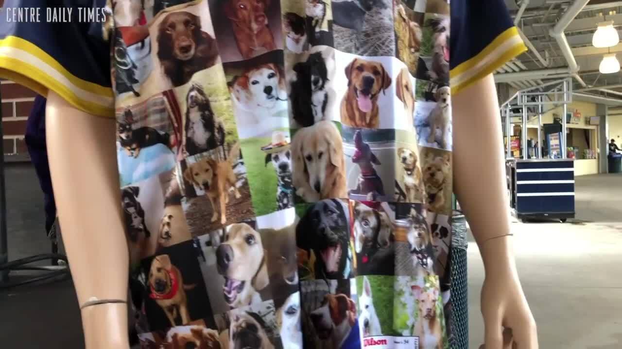 Spikes feature local dogs on the diamond