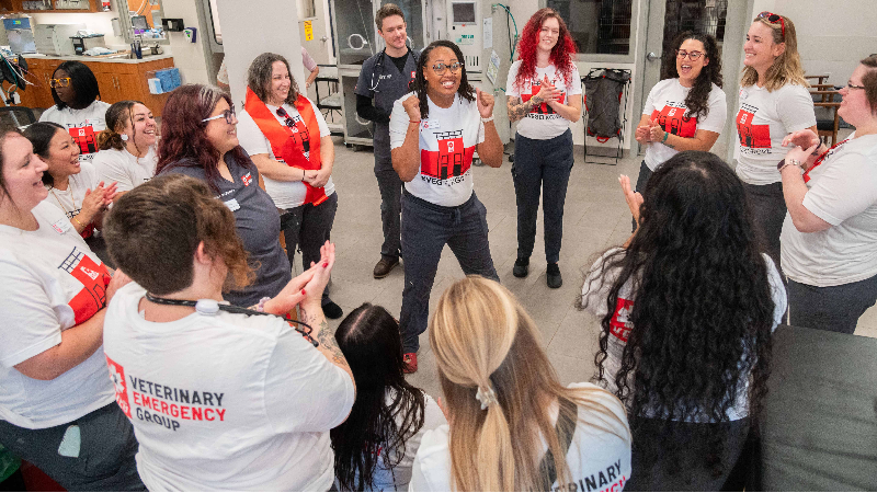 See new Elk Grove veterinary hospital providing unusual ‘open concept’ care