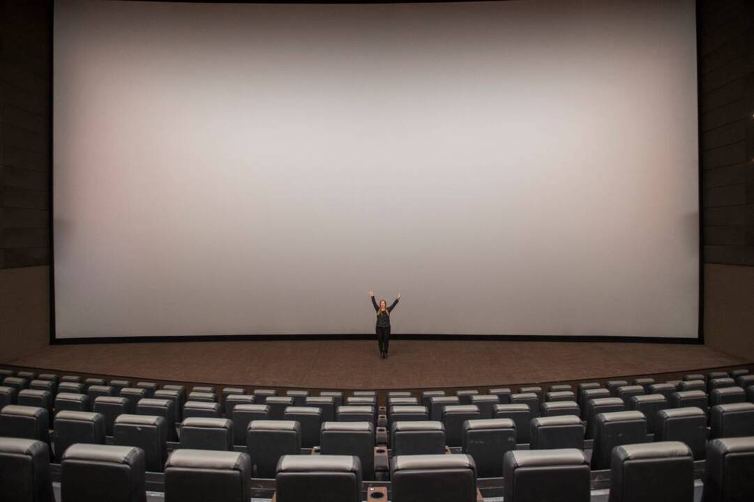 Get a sneak peek at new Arden 14 movie theater
