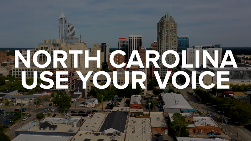 Disney-owned ABC11 launches public campaign over FCC probe