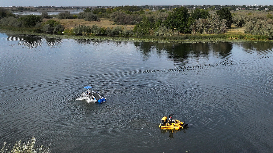 Benton Conservation District water stargrass management program expands