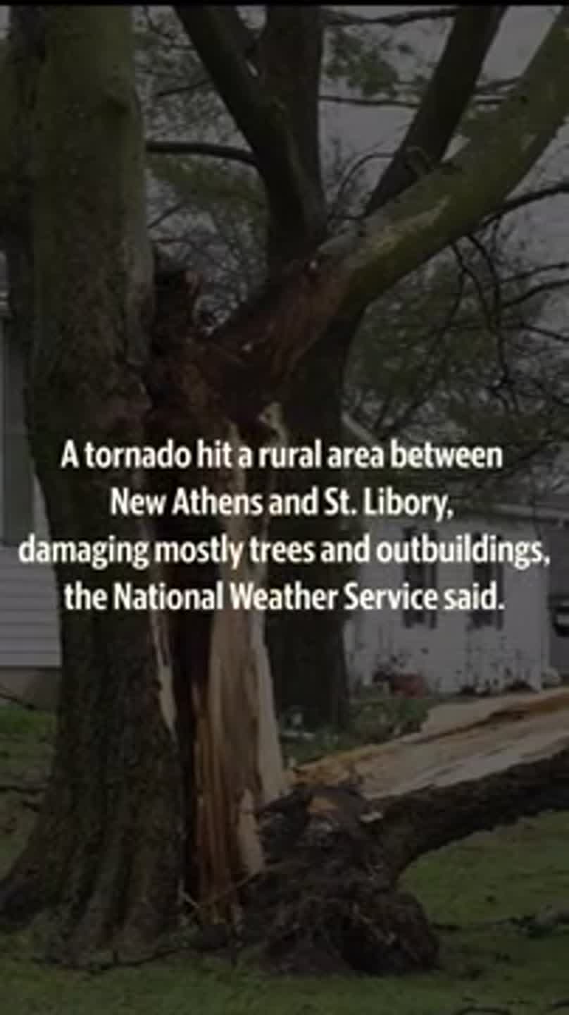 Tornado damages trees, property in rural St. Clair County