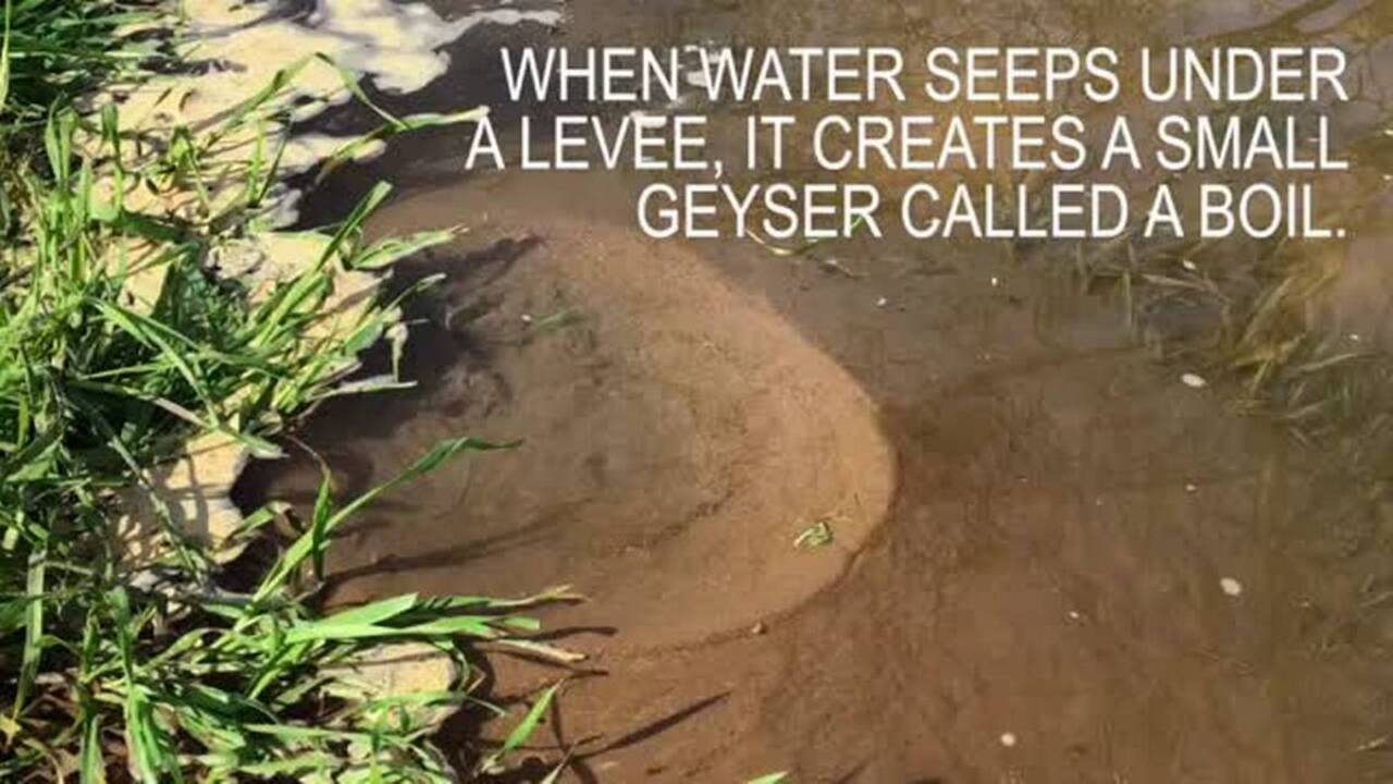 What is a levee boil?