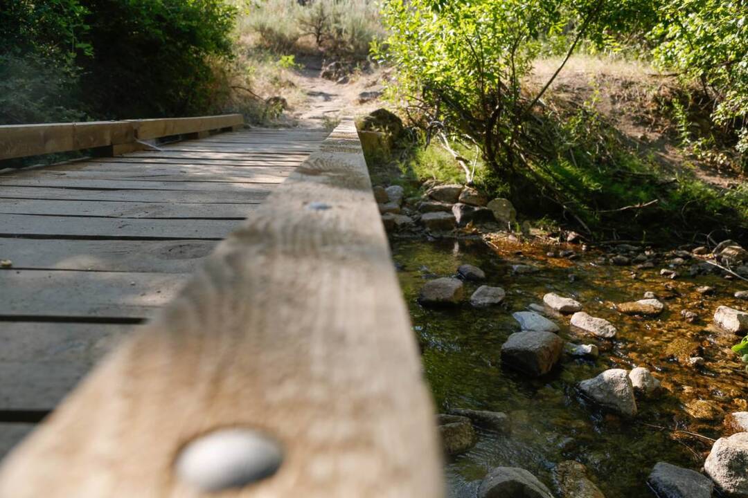 Dry Creek trail provides unique experience for hikers, bikers — and fish