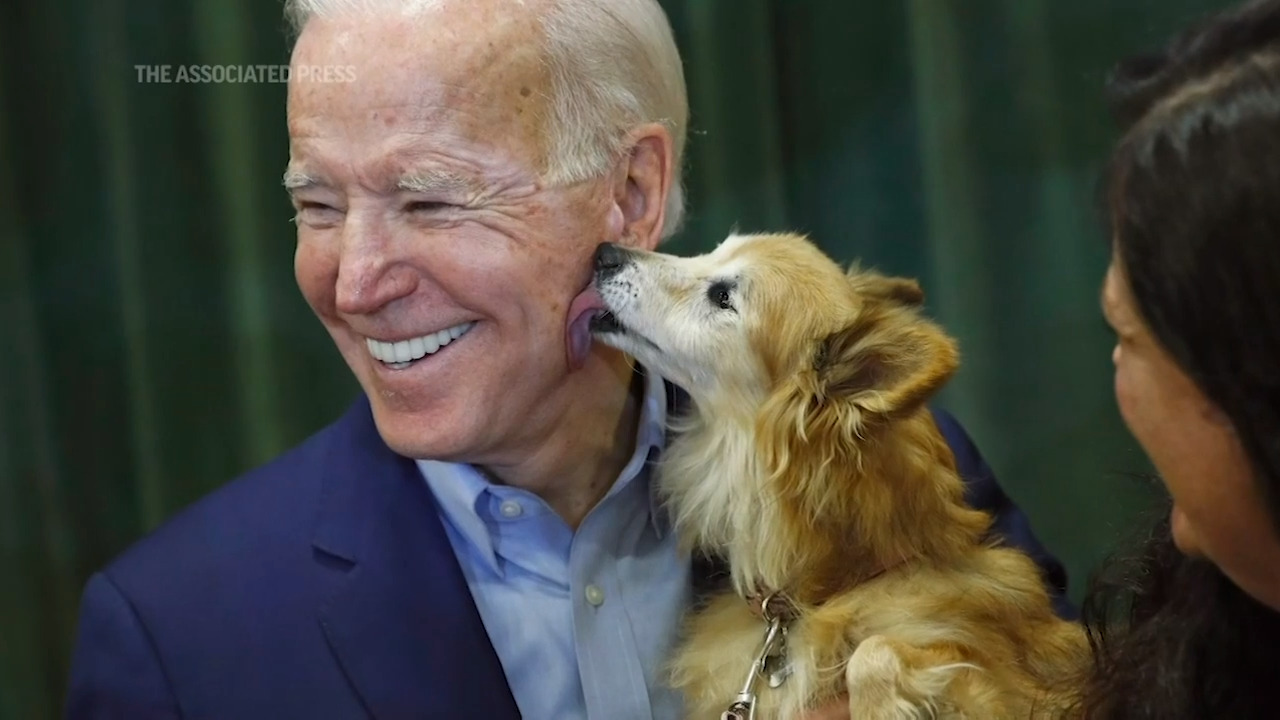 Pets return to the White House in 2021