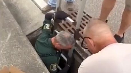 Ducklings rescued from storm drain by Sarasota deputy