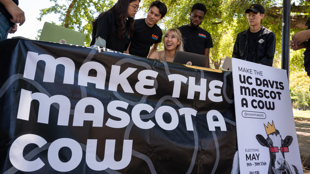 Holy cow: Here’s why a UC Davis student group is pushing for a new mascot