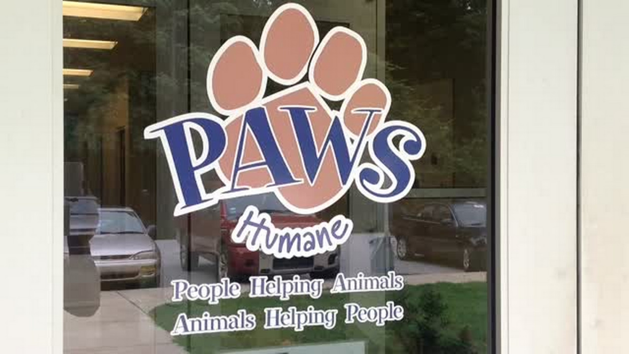 Dr. Robby Wrighten enjoys fast pace, impact she makes at PAWS Humane