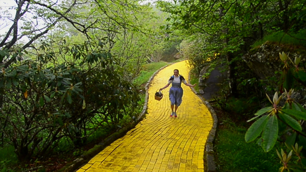 Internet beckons crime to Land of Oz; Goodbye, Yellow Brick Road