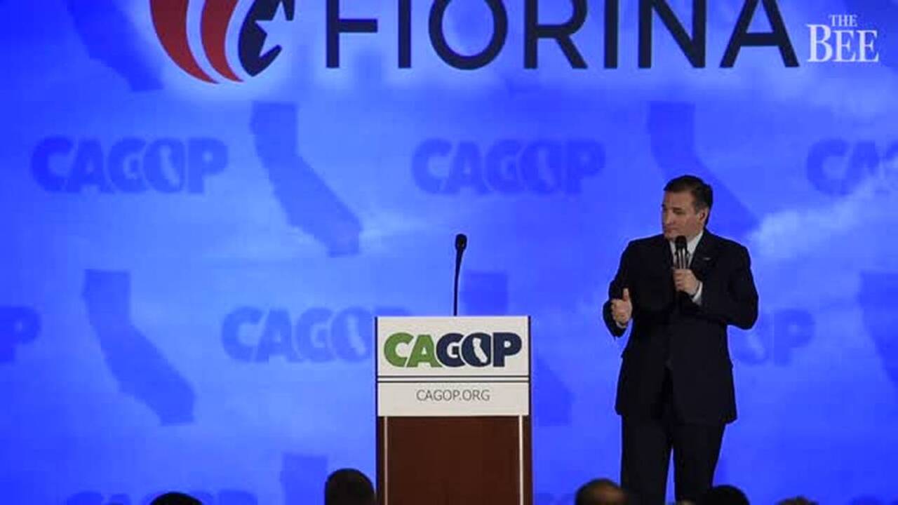 Ted Cruz has a Delta smelt plan: Disco ball, a little Barry White