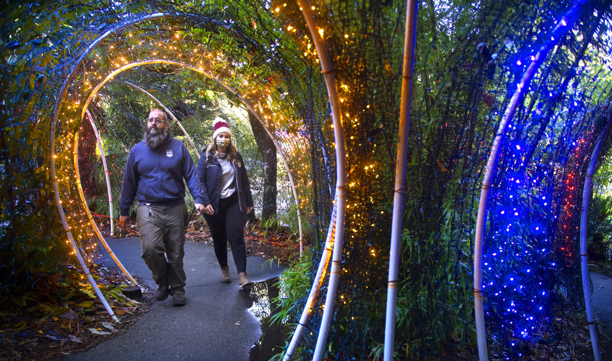 Tacoma’s Zoolights opens Friday with more lights than ever. ‘We’re over 800,000’
