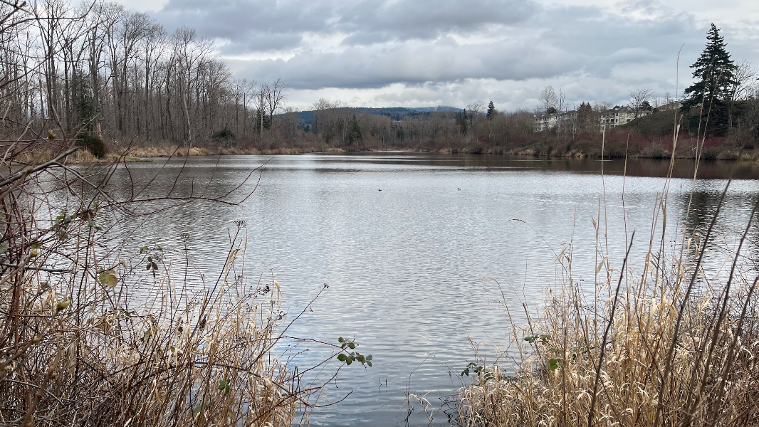 North Bellingham park welcomes new loop trail around Sunset Pond