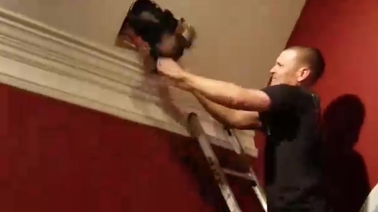 Firefighters rescue dog that got trapped chasing squirrel in attic