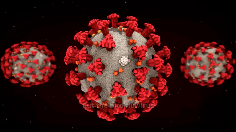 Bird flu study shows virus can survive fevers as human cases rise