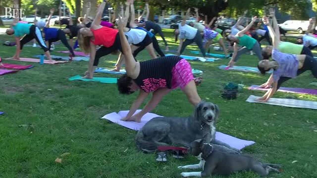 You can take a free yoga class at this park – and lots of others around Sacramento
