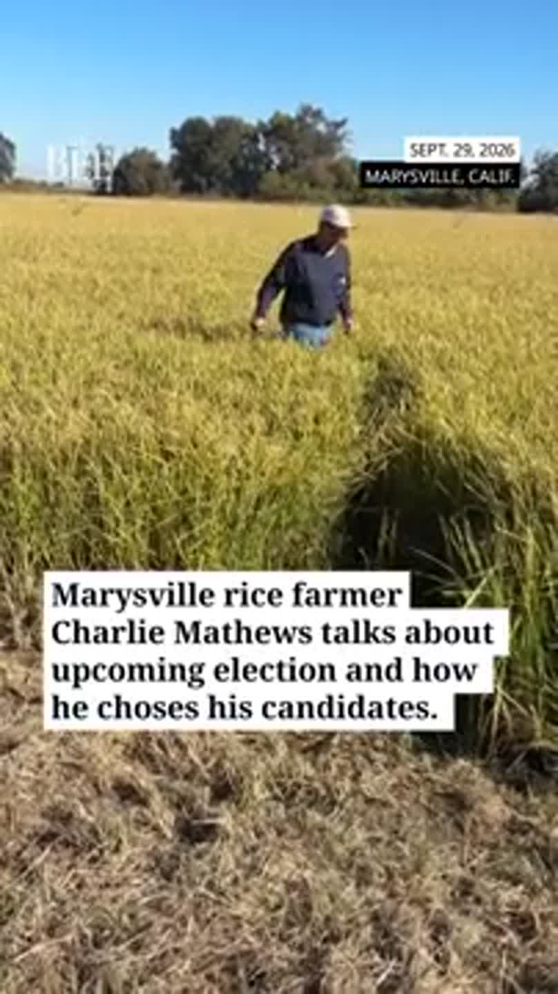 Listen as Marysville rice farmer discusses his choices in upcoming election