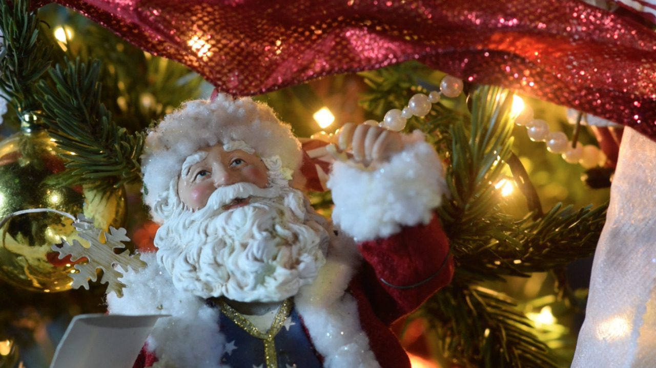 Ripley’s Aquarium launches its Festival of Trees at Broadway at the Beach